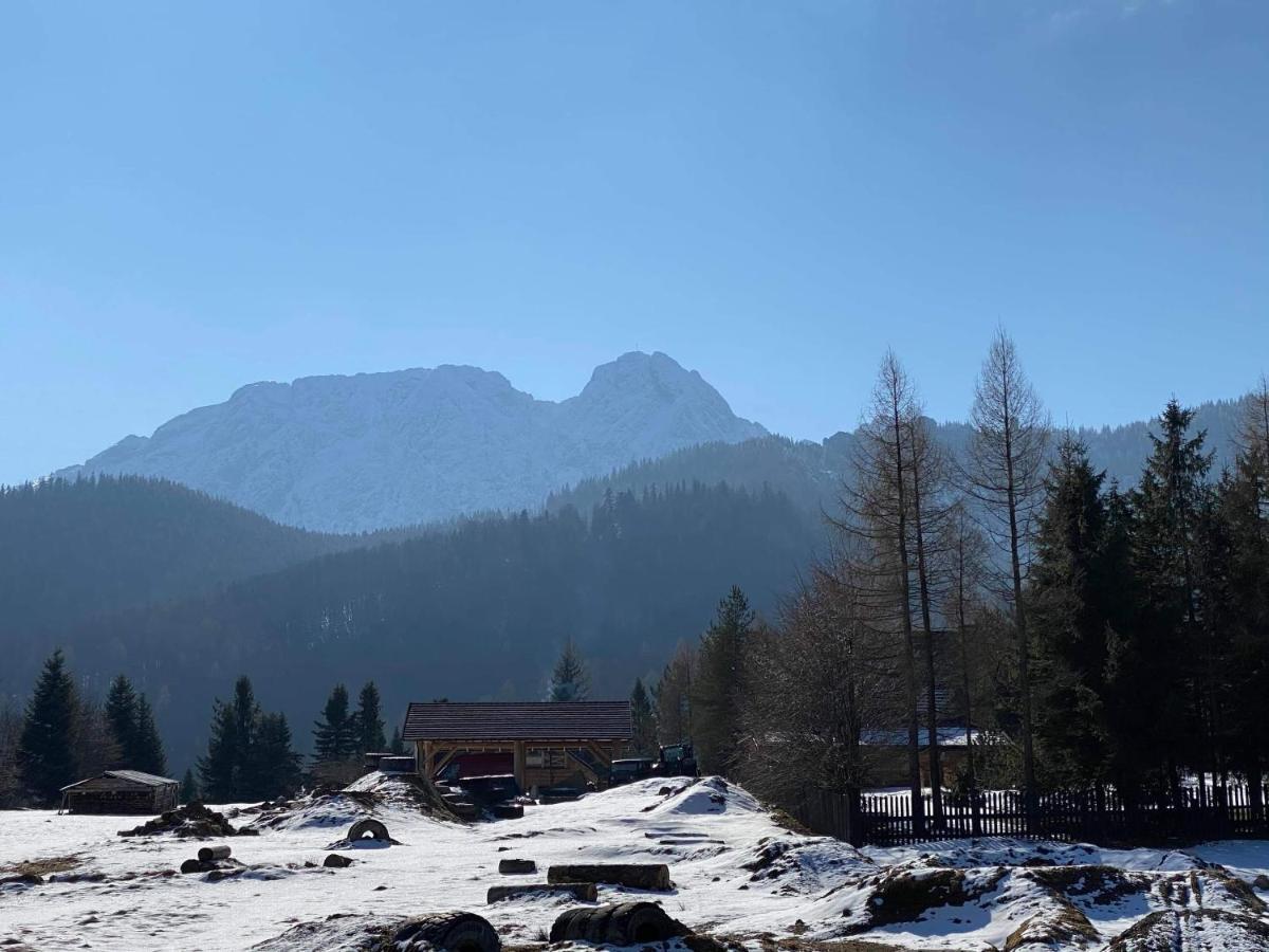 Viva Maria -Sky Moszczak Apartments&Spa Zakopane Extérieur photo
